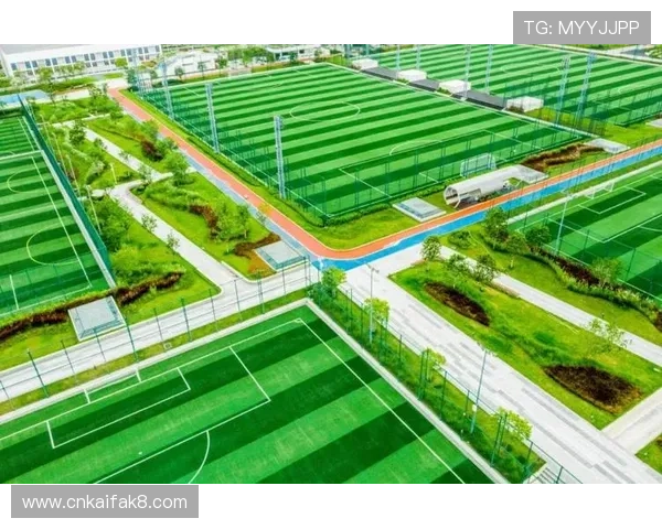 凯发国际平台丰富的体育赛事直播与竞猜活动，满足体育迷的多样需求