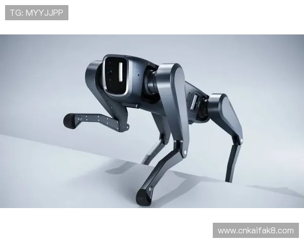 凯发旗舰平台官网:专业客服支持与用户体验优化方案 凯发旗舰平台官网:专业客服支持与用户体验优化方案